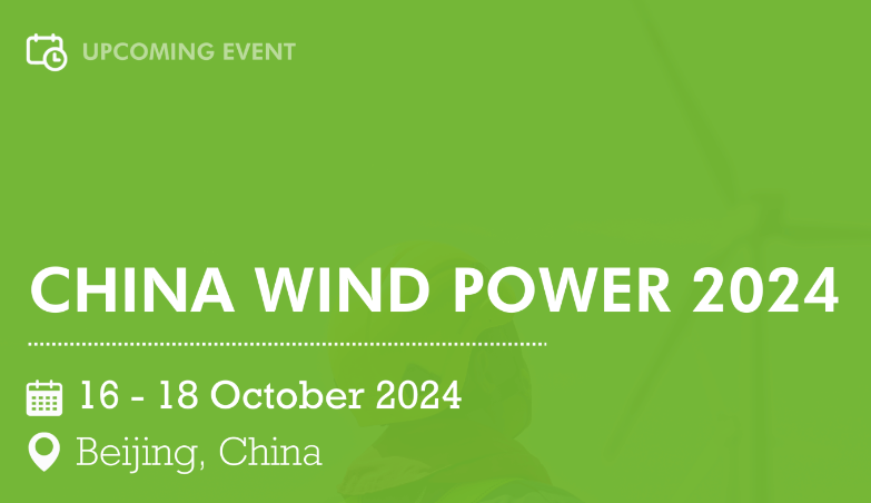 China Wind Power 2024
