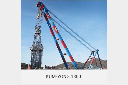 Floating crane BSS-110063